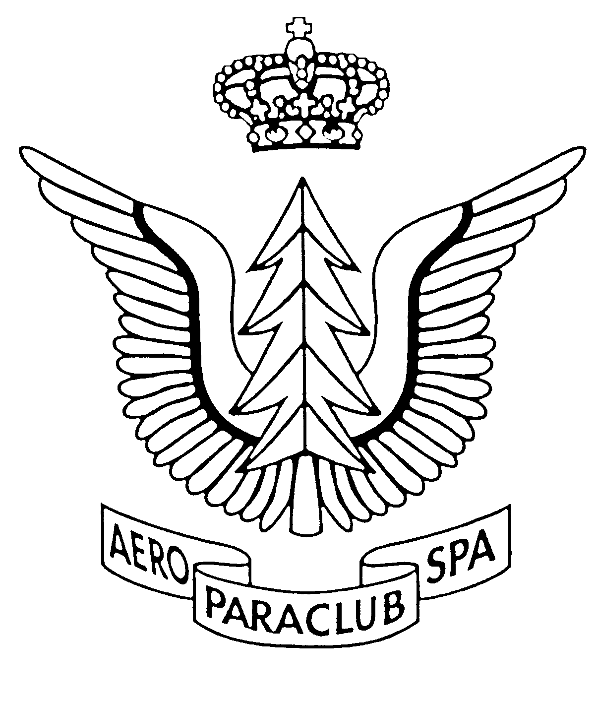 Logo-RAPCS
